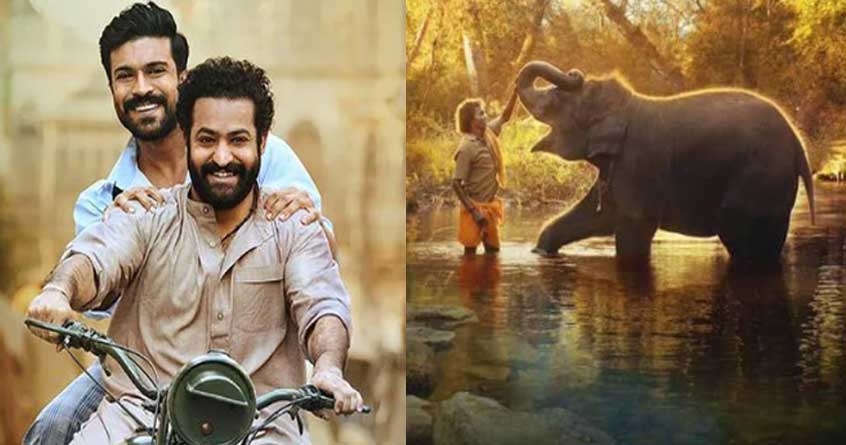 http://www.vsnews.co.in/upload/2023-03-19/1783579864Indian-Oscar-winners_202303141911407450_H@@IGHT_445_W@@IDTH_846.jpg
