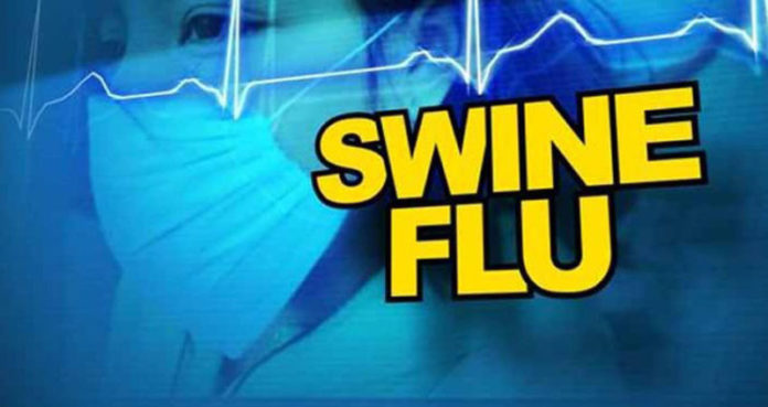 http://www.vsnews.co.in/upload/2017-11-07/1420071157swine-flu-696x369.jpg