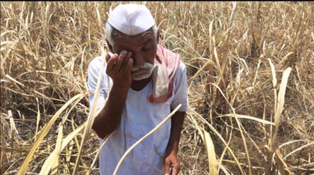 http://www.vsnews.co.in/upload/2018-02-16/1139252695farmer.jpg